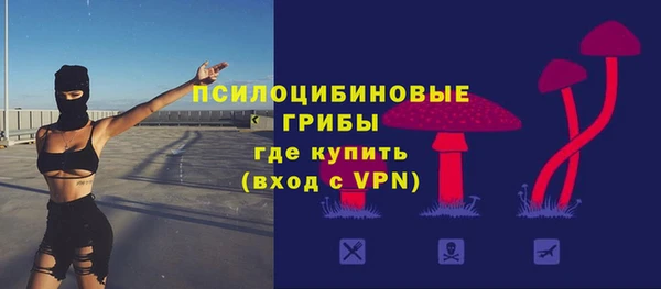 крисы Абаза