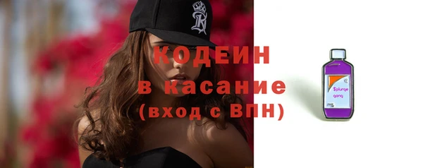 крисы Абаза