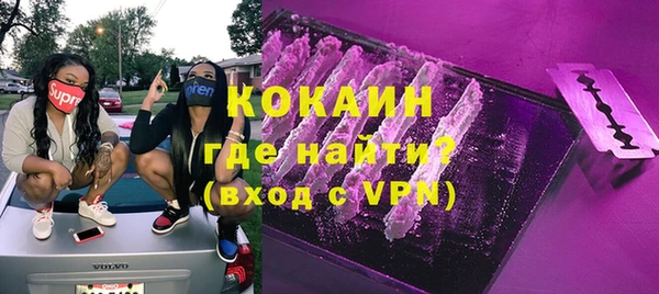 крисы Абаза
