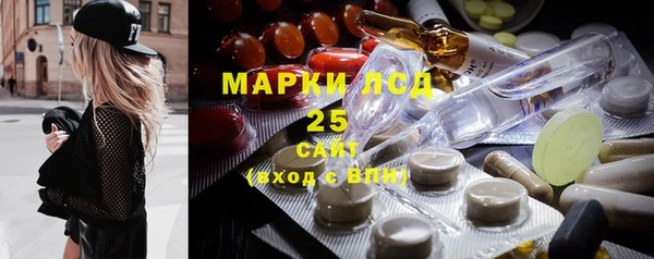 крисы Абаза