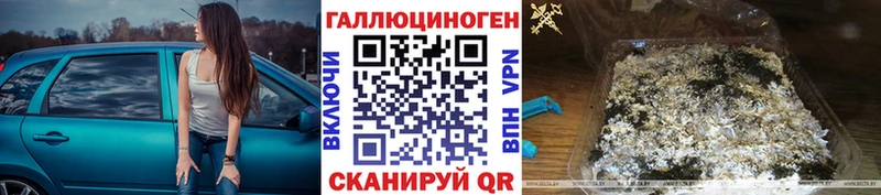 Галлюциногенные грибы Psilocybe  купить наркотики цена  Кострома 