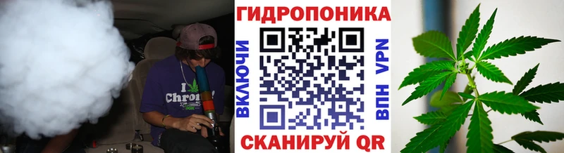 Бошки Шишки гибрид  ссылка на мегу ссылка  Кострома 